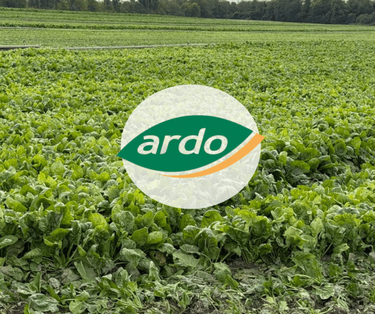 Blog - Společně se zákazníky jsme navštívili továrnu ARDO 🏭🥬🍓