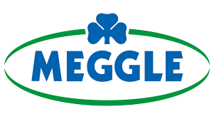 logo Meggle