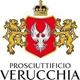 logo Verucchia