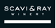 logo Scavi&Ray