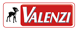 logo Valenzi