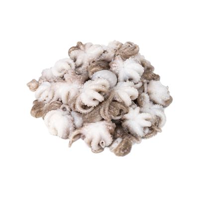 Chobotničky (baby octopus) 20-40 ks/kg mražené 1x800g
