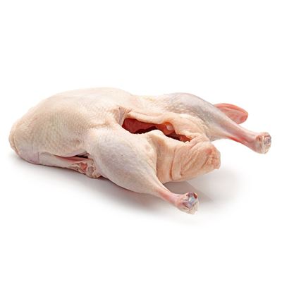 Kachna bez drobů mražená 6x2kg HU