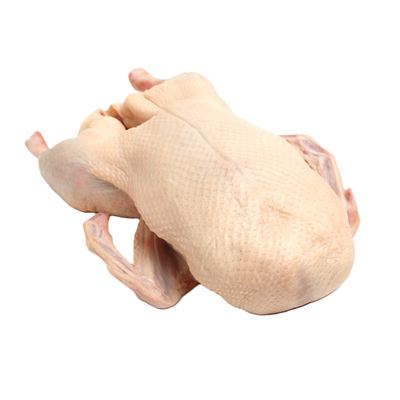Husa s droby kalibrovaná mražená 3x4,4kg Cedrob PL