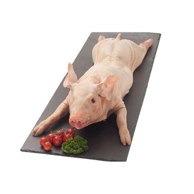 Sele celé mražené cca 15-20kg Beck