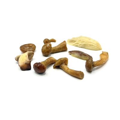 Houbová směs krkonošská mražená 1x1kg Frigoexim