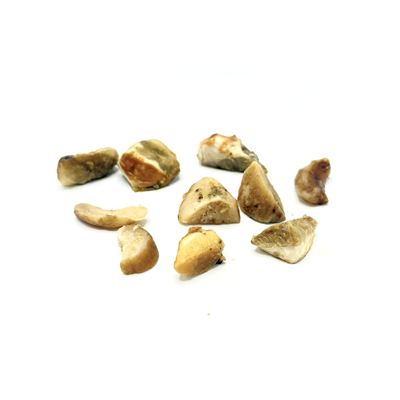 Směs hříbků kostky exclusive mražené 1x1kg Frigoexim