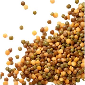Čočka tříbarevná mix předvařená mražená 1x1kg Ardo