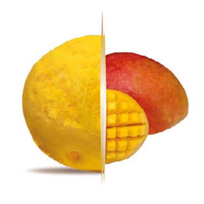Sorbet Mango zmrlina vana 1x5,5l Carte d´Or