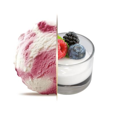 Jogurt-lesní ovoce zmrzlina vana 1x5,5l Carte d´Or