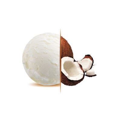 Kokosová zmrzlina 1x2,4l Carte d´Or