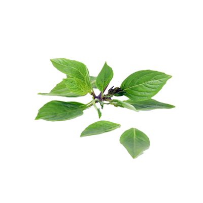 Thajská bazalka čerstvá 1x100g