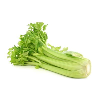 Celer řapíkatý kal. 500g+ čerstvý 1x1ks