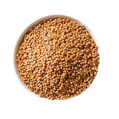 Hořčičné semínko světlé 1x500g Zvoska Chef's Kitchen