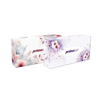 Papírové kapesníčky v krabičce 24x100ks PrimaSoft